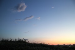 天空ガーデン 優しい夕暮れ