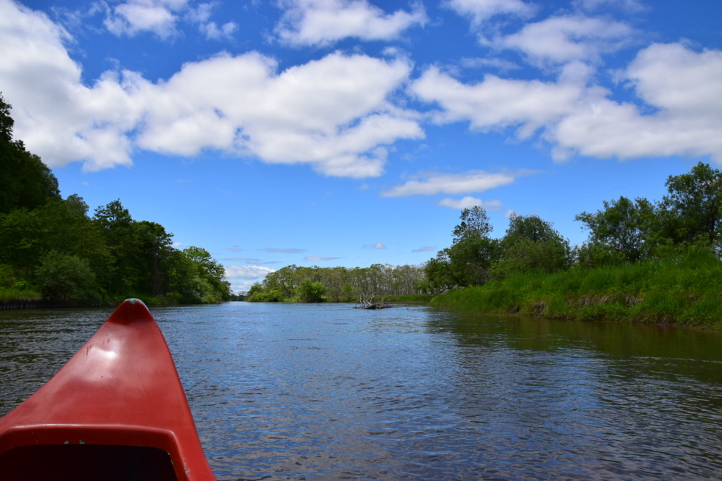 釧路川