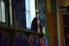美術館の猫 3