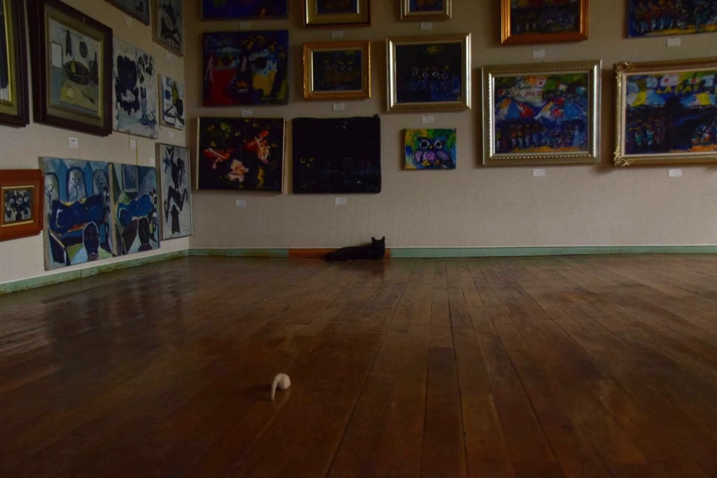 美術館の猫