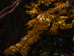 黄金的な（笑）