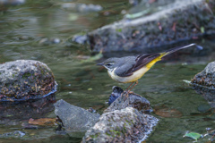 これもここでは評価されない絵ですよね（爆）