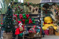 もうすぐクリスマスですね