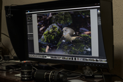 Mac miniじゃ処理に時間が（泣）