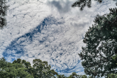 雲