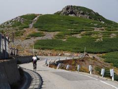 乗鞍ヒルクライム！　P9080535