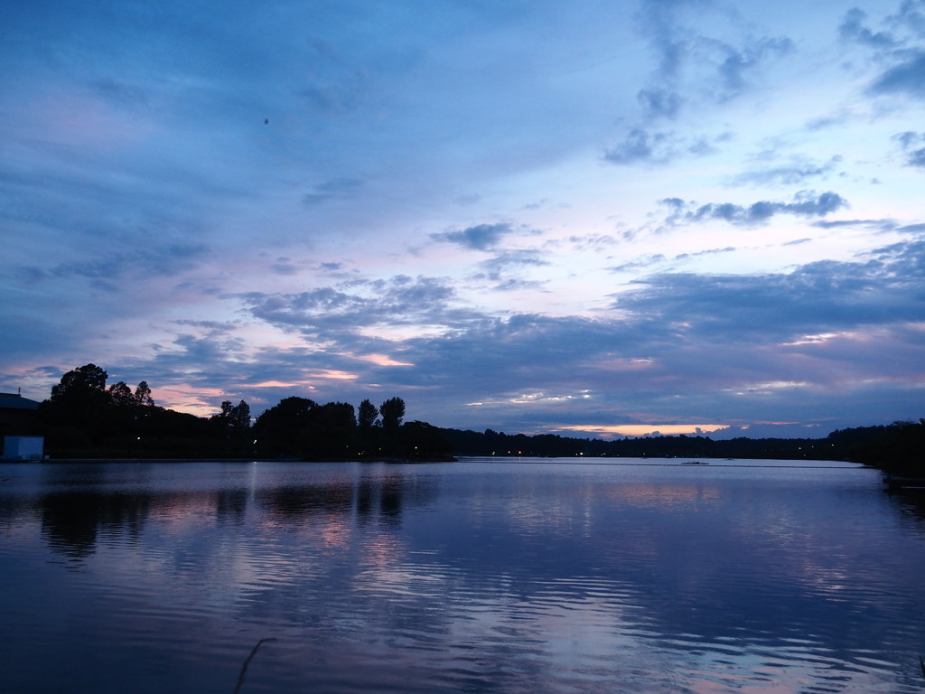 千波湖夕景　P7081855