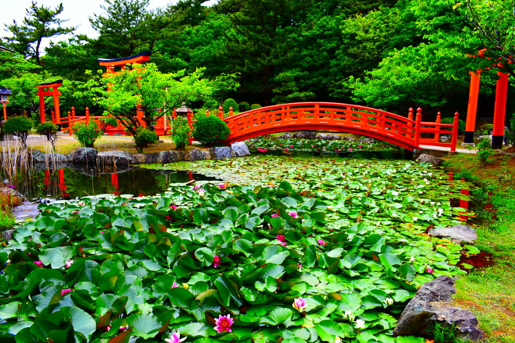 高山稲荷神社