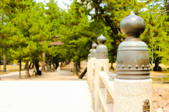 出雲大社①