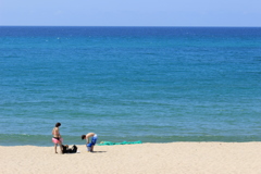 海