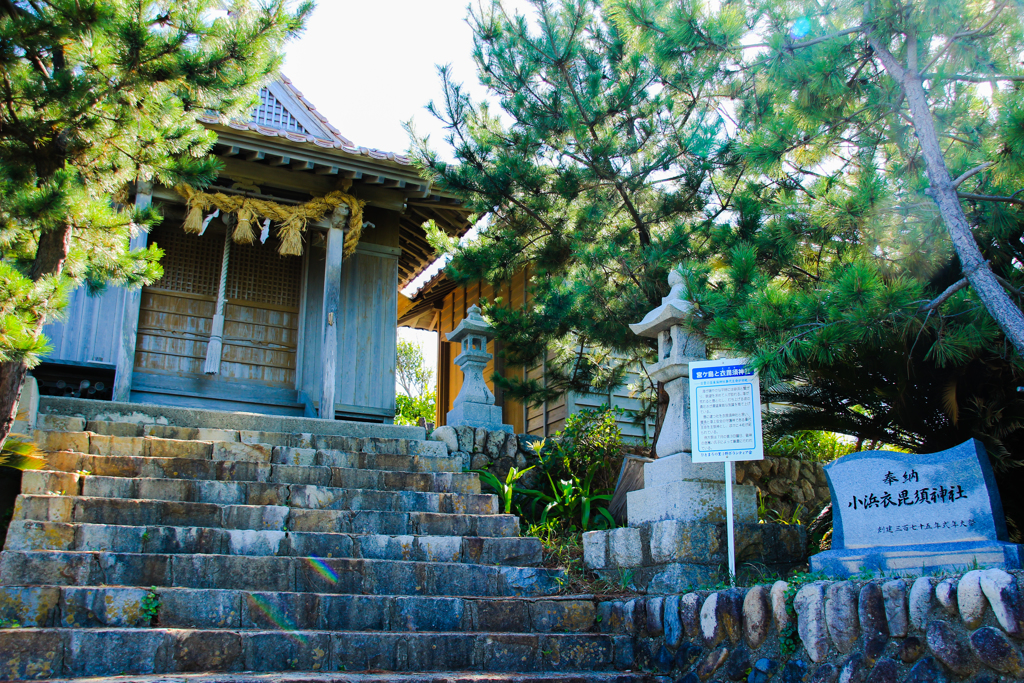 衣毘須神社②