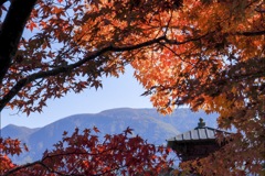 山寺