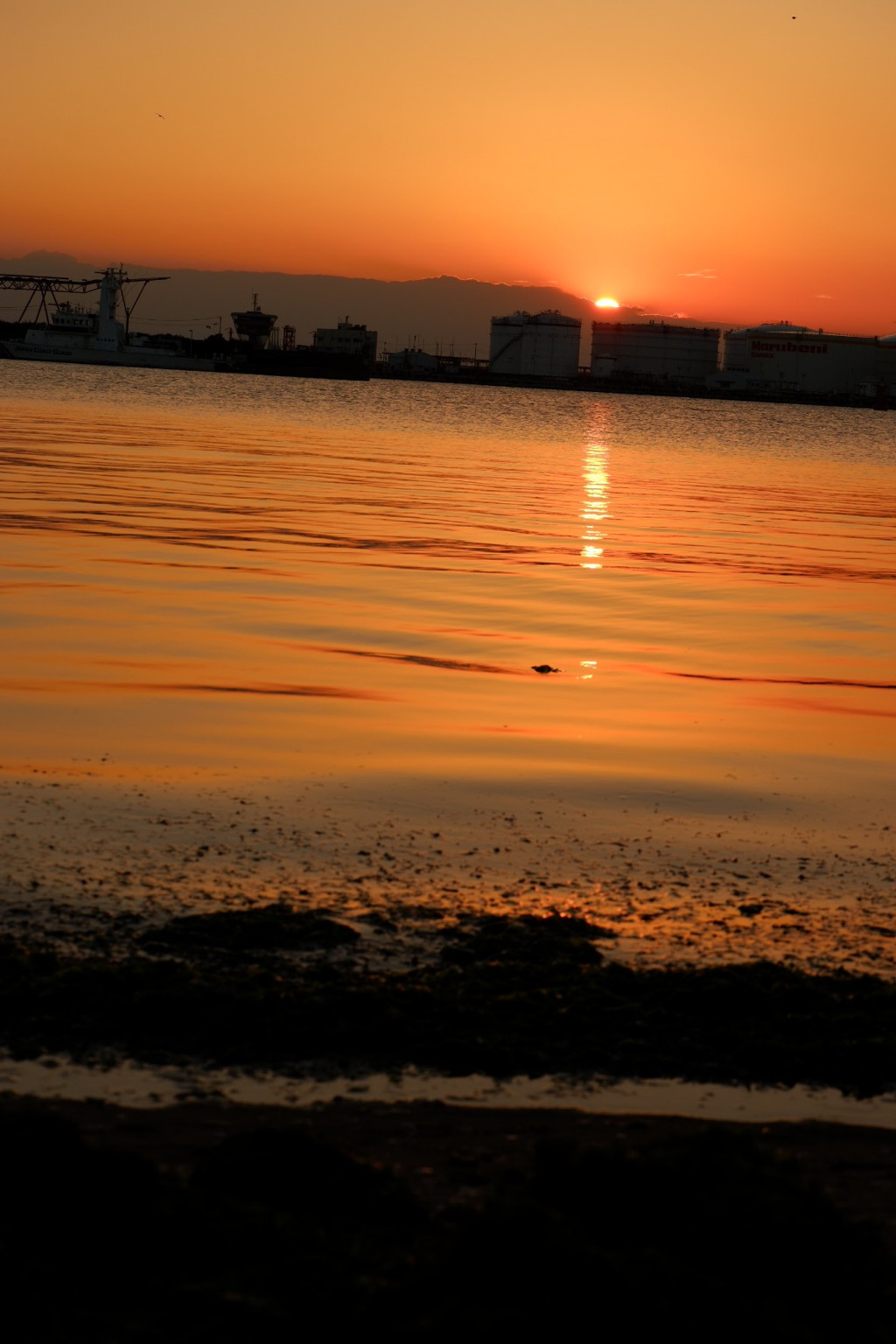 夕日