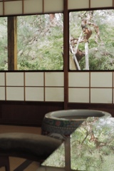 リフレクション