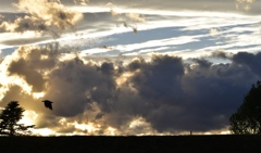 空