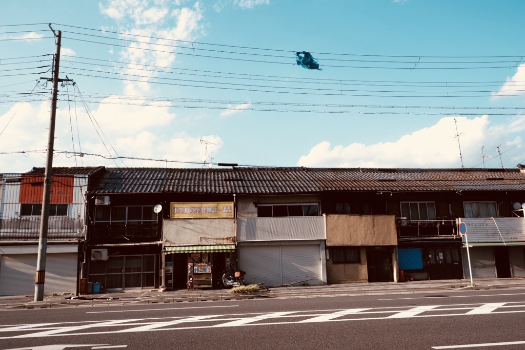京都の台風一過