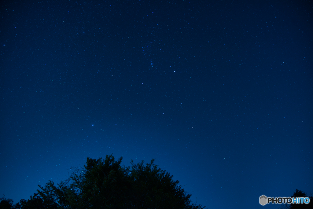 初の星空撮影〜オリオン座〜