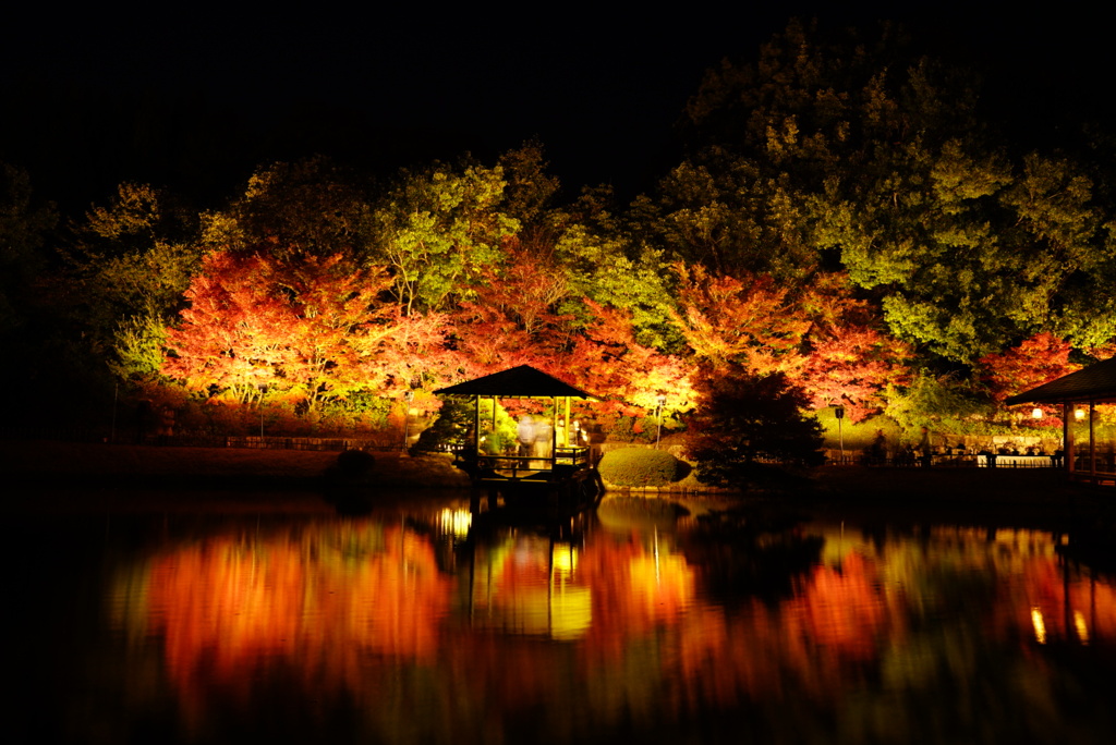 紅葉〜ライトアップ〜