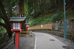 初めての高尾山