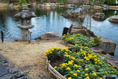 徳川園のお正月 2026 ⑨