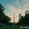 夏の夕暮れ散歩 ①