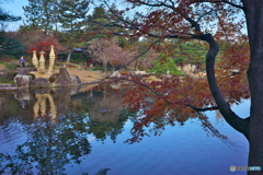 新春 名残りの紅葉 ①