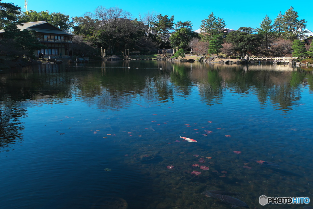 冬の庭園散歩 徳川園 ⑧