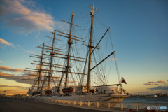 日本丸の寄港 ②