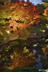 徳川園紅葉祭 ⑤