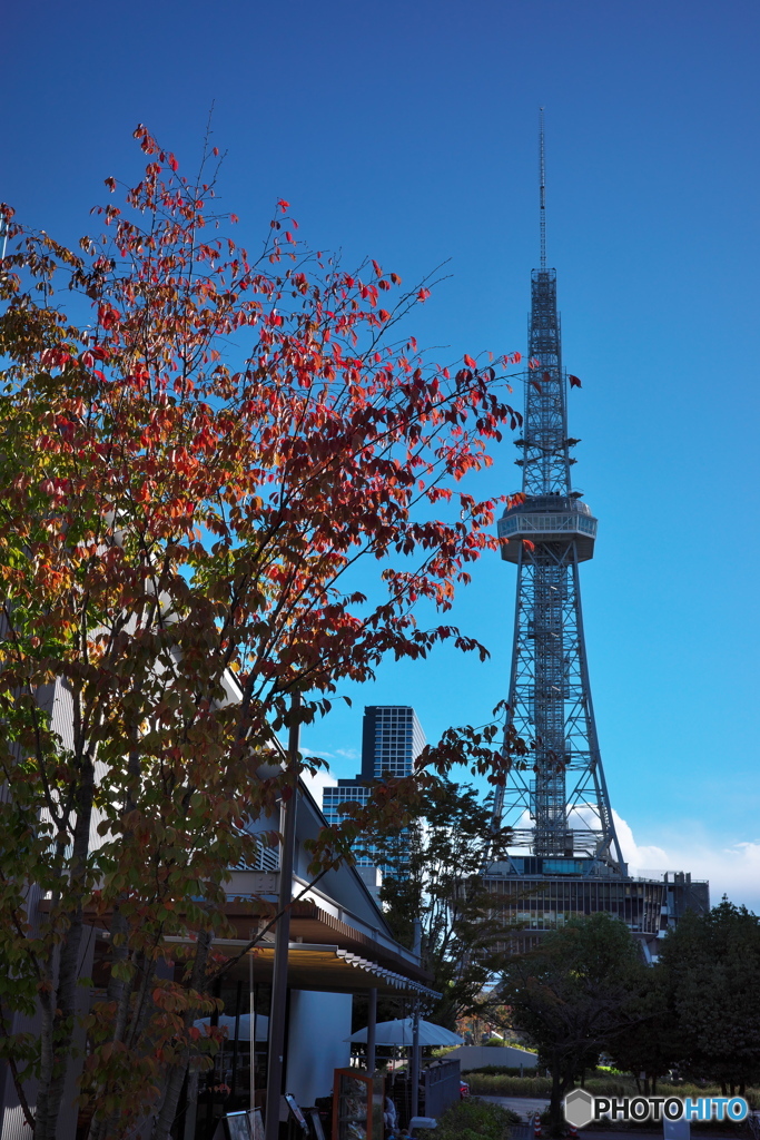 街角の紅葉 ⑥