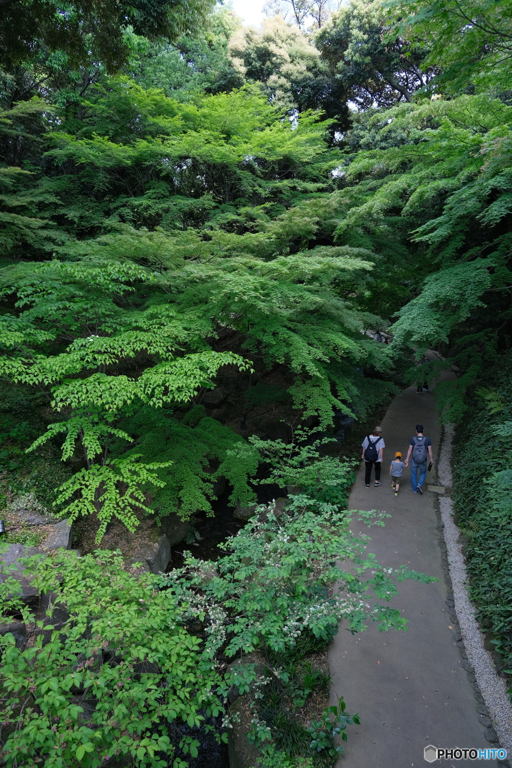 徳川園 新緑散歩 ③