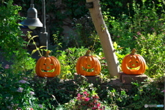 フラリエのハロウィーン ③