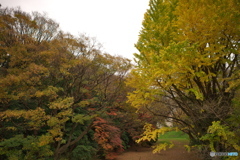 名古屋城外堀散策 ①