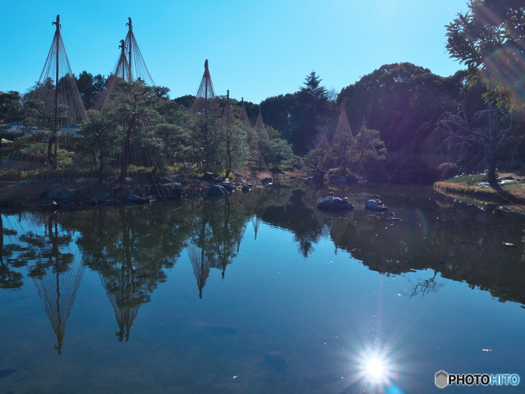 冬の庭園散歩 白鳥庭園 ④