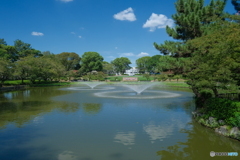 晩夏の公園散歩 ②