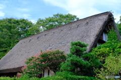 晩夏の東山動植物園 ③