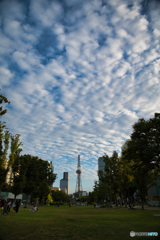 秋空 ④