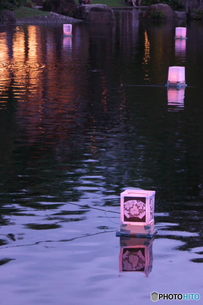 徳川園の夕涼み ③  浮き燈籠 点灯