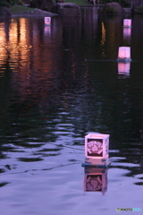 徳川園の夕涼み ③  浮き燈籠 点灯