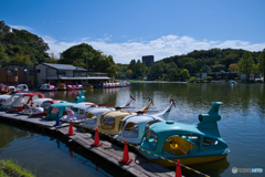 秋の東山動植物園 ⑦
