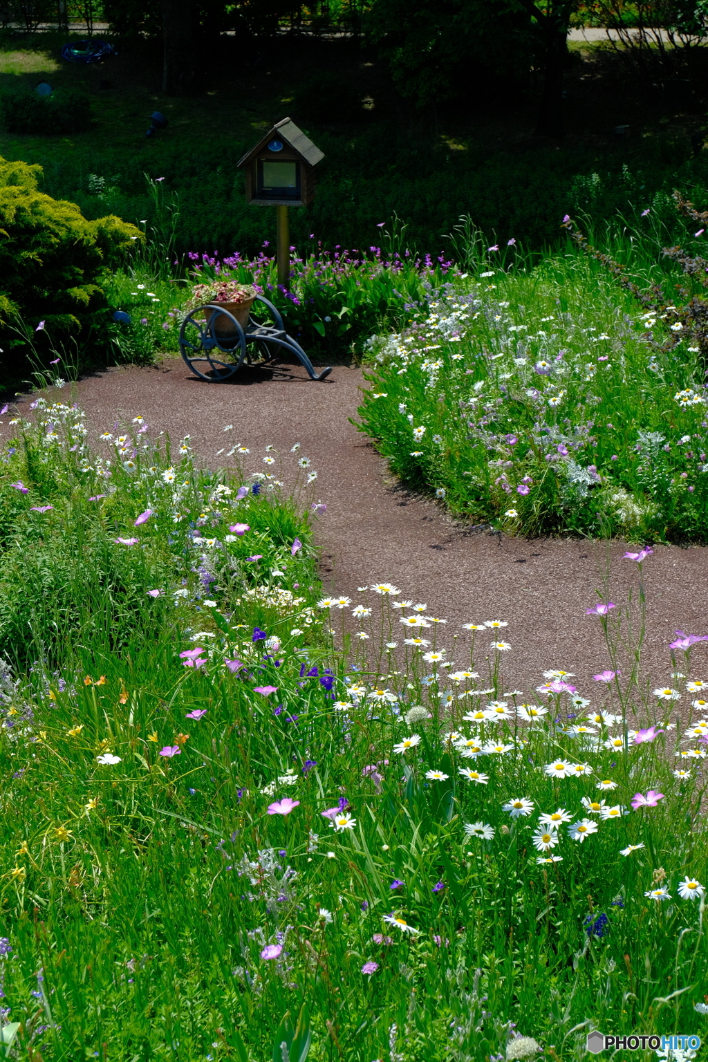 光あふれる庭 ②