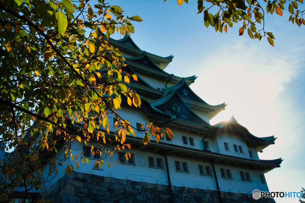 初秋の名古屋城