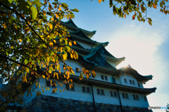 初秋の名古屋城