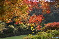 庄内川と紅葉 ③