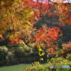 庄内川と紅葉 ③