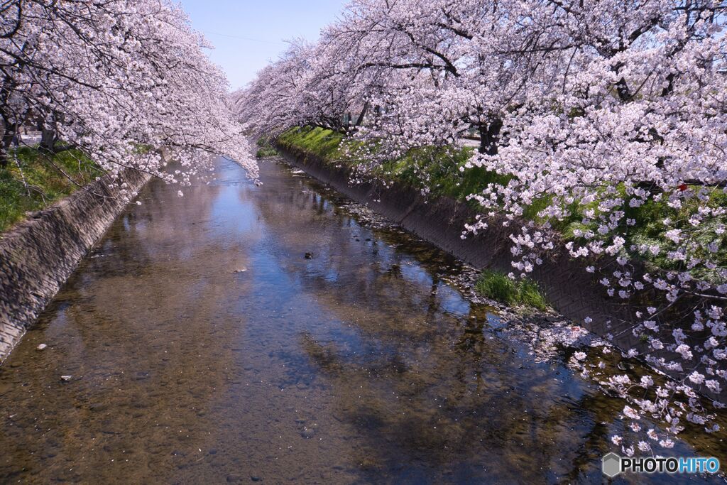 五条川散策 ②