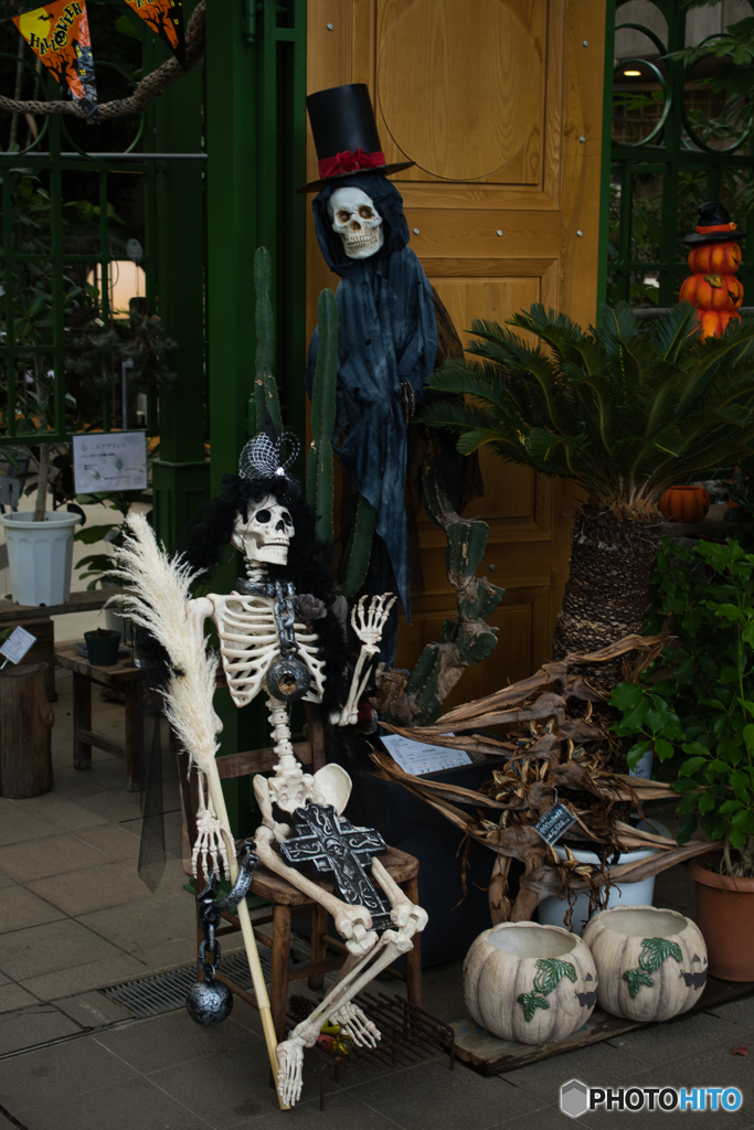 ハロウィンのご挨拶 ②