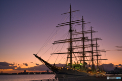 日本丸の寄港 ④