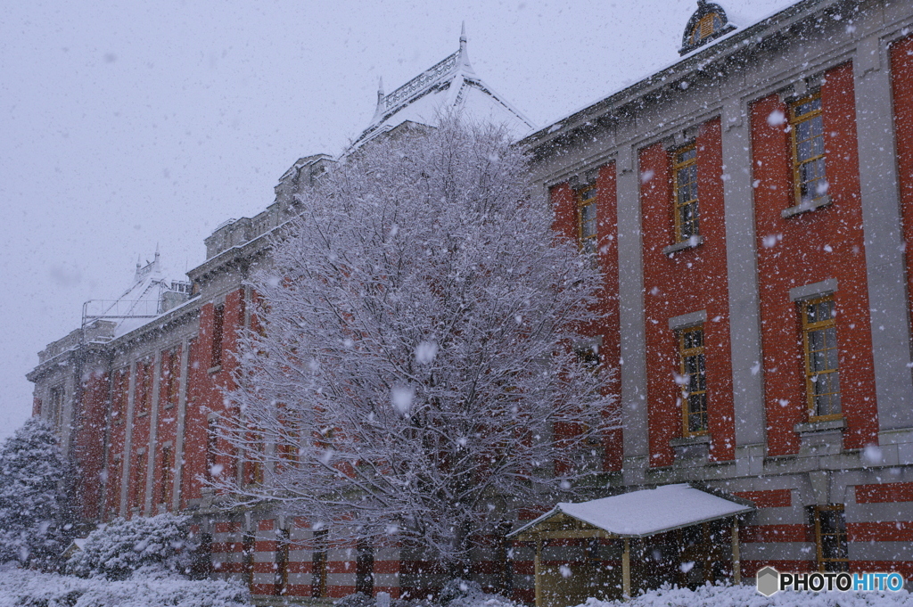 市政資料館 雪化粧 ②