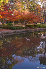 午後の公園散歩 ②